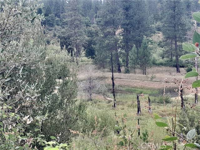 Oroville, CA 95965,3979 Yellow Wood Road
