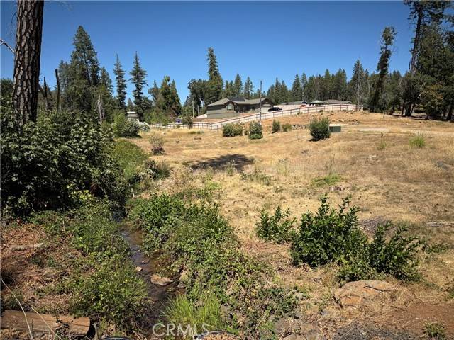 Paradise, CA 95969,1645 Wagstaff Road