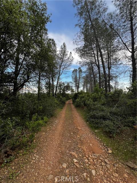 Oak Run, CA 96069,0 Donkey Mine Road