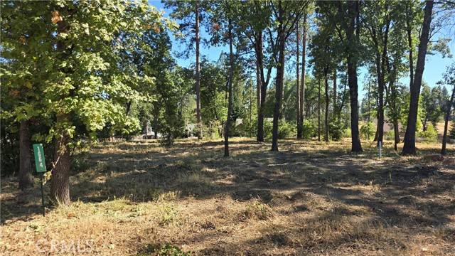 Paradise, CA 95969,1664 Meadowbrook Lane