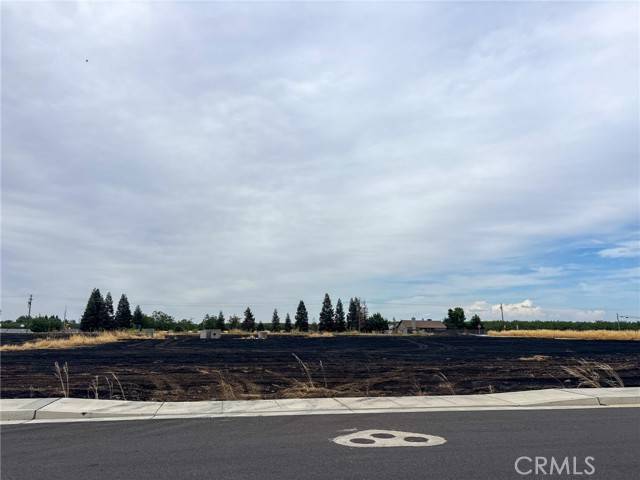 Orland, CA 95963,698 Hambright (Corner Hwy 32) Avenue