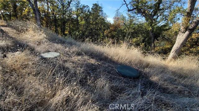 Cottonwood, CA 96022,17435 Quail Ridge Road