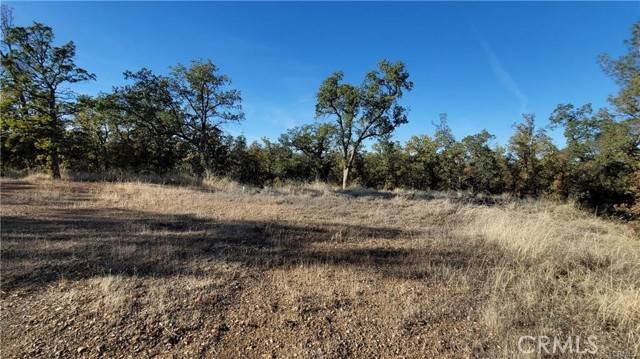 Cottonwood, CA 96022,17435 Quail Ridge Road