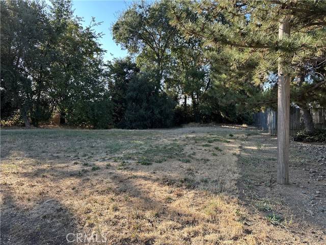 Willows, CA 95988,0 Oak Street