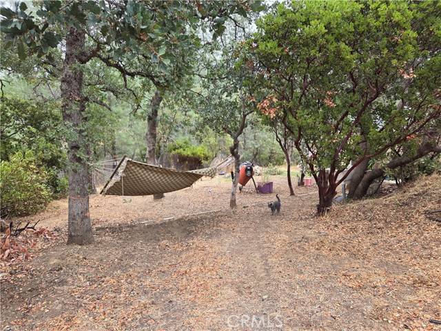 Corning, CA 96021,7036 MAVERICK