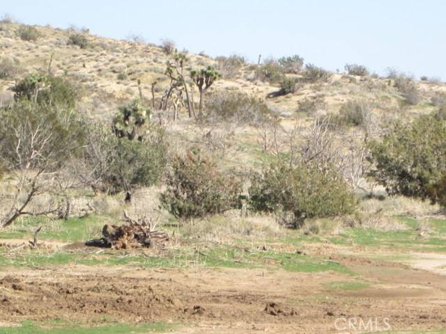 Littlerock (also Little Rock), CA 93543,0 Vic Cheseboro Rd/Ave U8