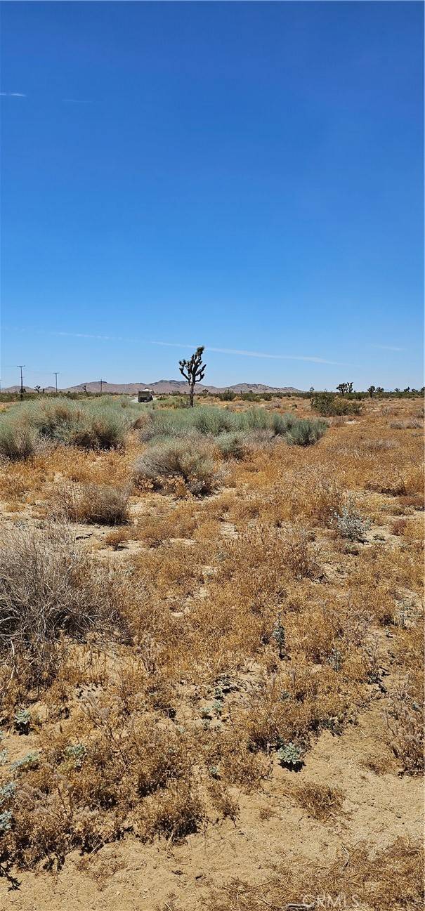 Mojave, CA 93501,0 LONGHORN Avenue