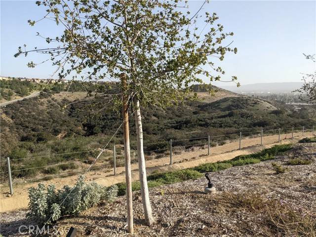 Chatsworth (los Angeles), CA 91311,60 COYA Trail