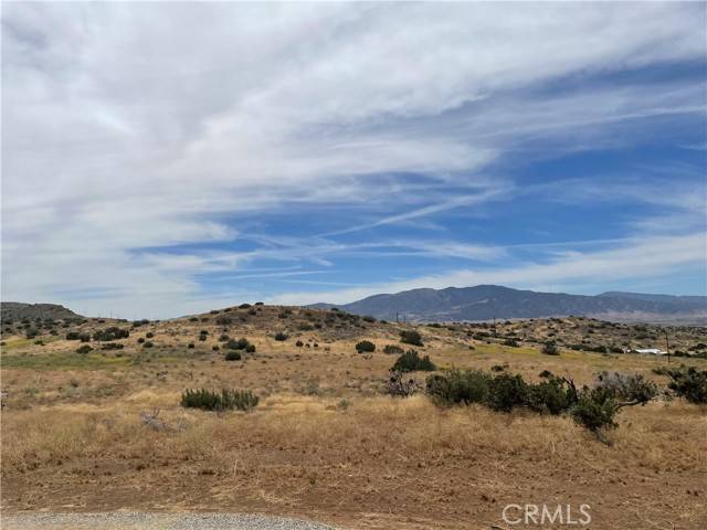 Tehachapi, CA 93561,0 Valley Blvd