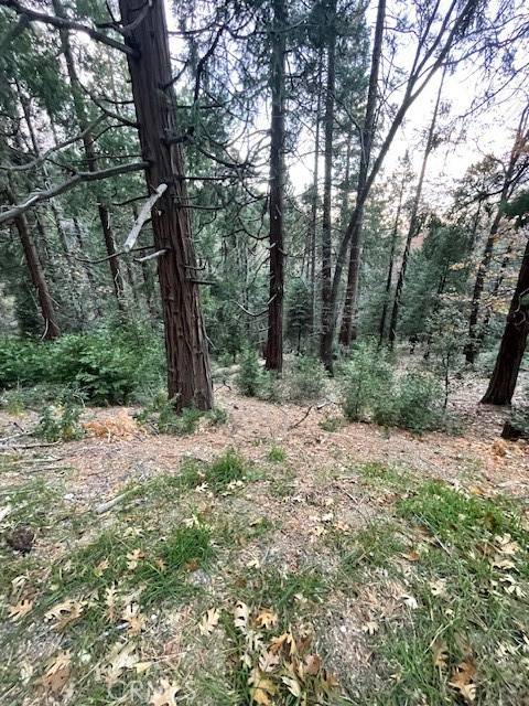 Cedarpines Park, CA 92322,0 Mojave River Road