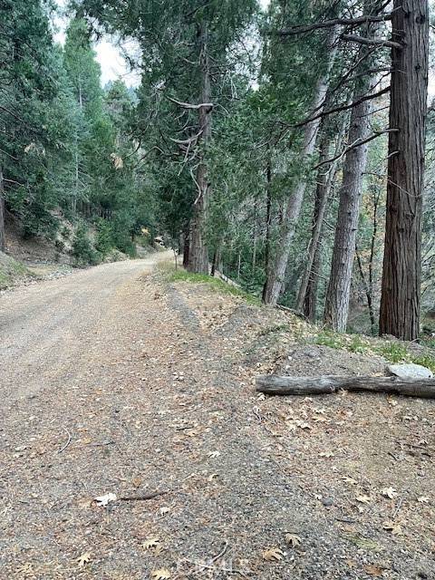 Cedarpines Park, CA 92322,0 Mojave River Road