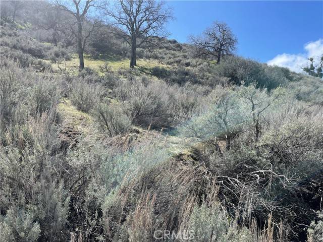 Tehachapi, CA 93561,0 Shut Out Place