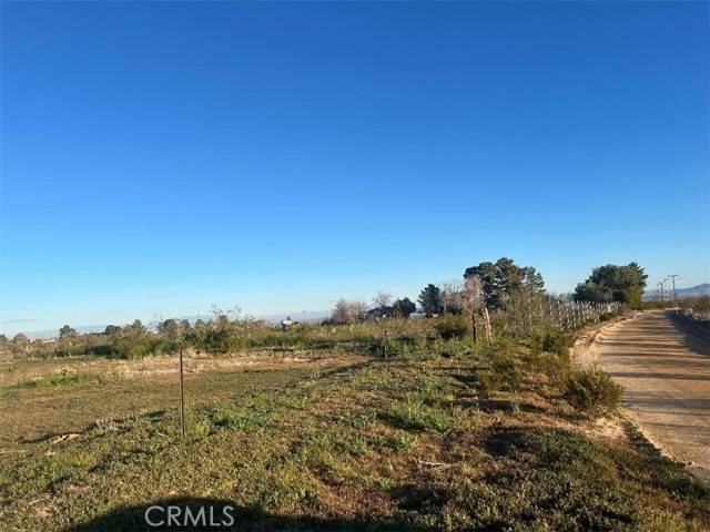 Llano, CA 93544,0 Vac/Cor Avenue W4 Drt /175