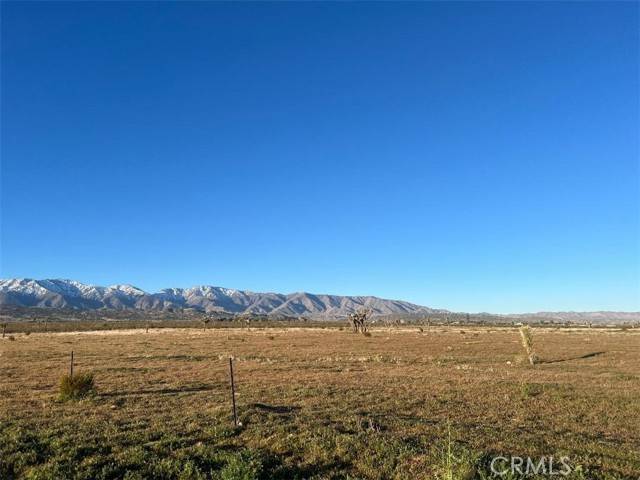 Llano, CA 93544,0 Vac/Cor Avenue W4 Drt /175