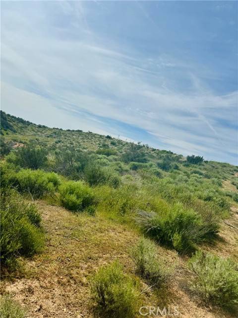 Agua Dulce, CA 91390,10517 Sierra