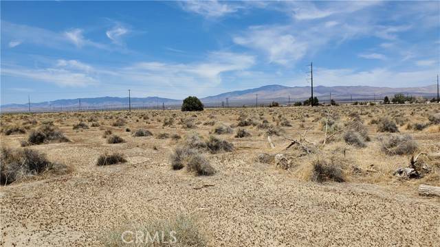 Rosamond, CA 93560,0 Dinkey Ave