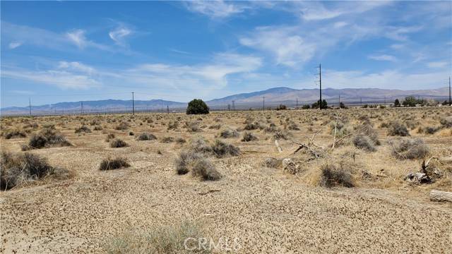 Rosamond, CA 93560,0 Dinkey Ave