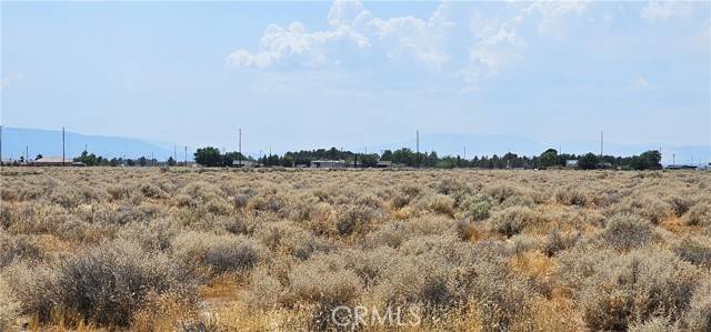 Rosamond, CA 93560,0 50th Street West