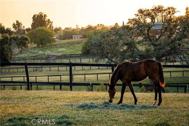 Santa Ynez, CA 93460,1977 W San Marcos Pass Road