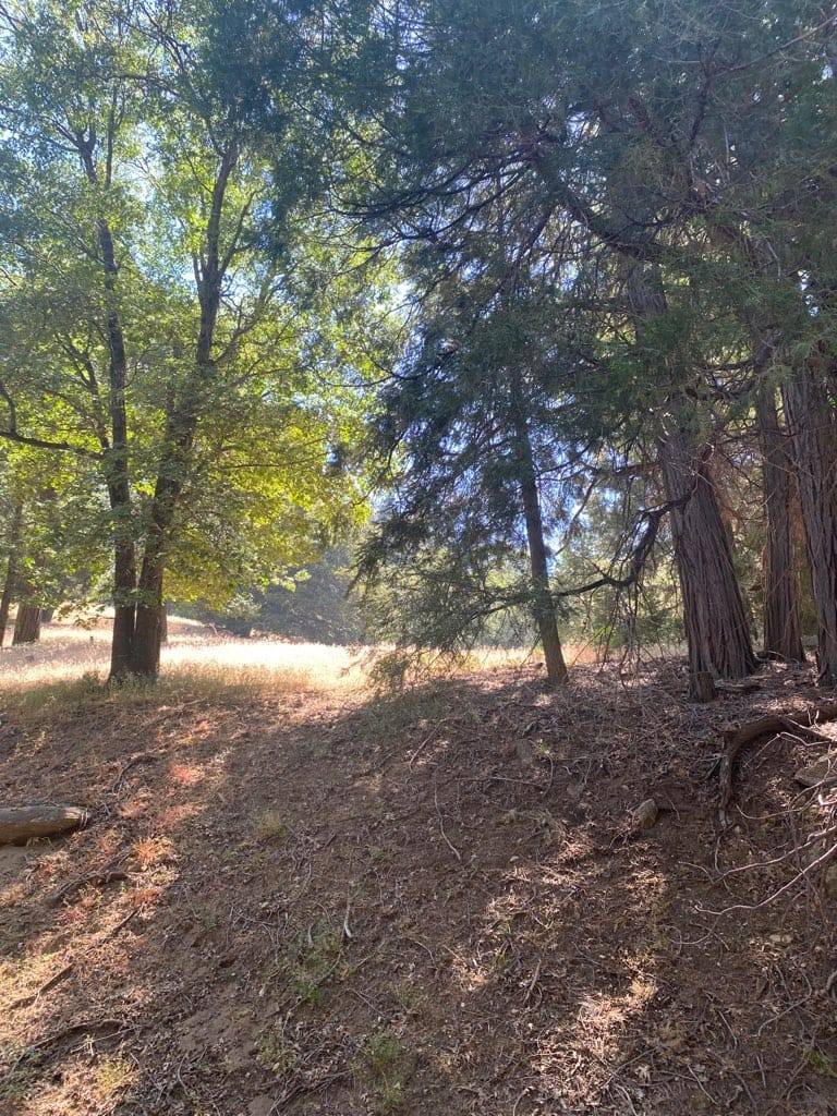 Cedarpines Park, CA 92322,0 Mojave River Rd