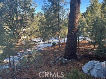 Pine Mtn Club, CA 93222,1604 Linden Drive