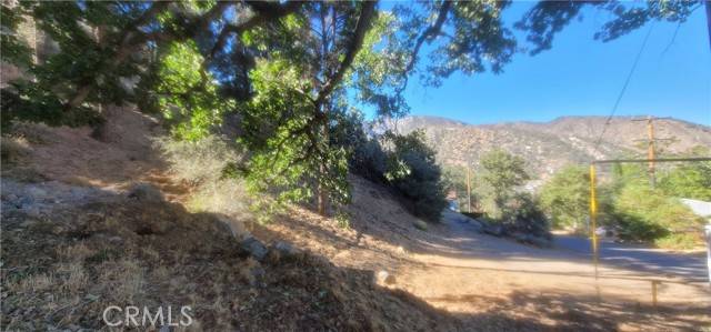 Frazier Park, CA 93225,0 Pine Canyon