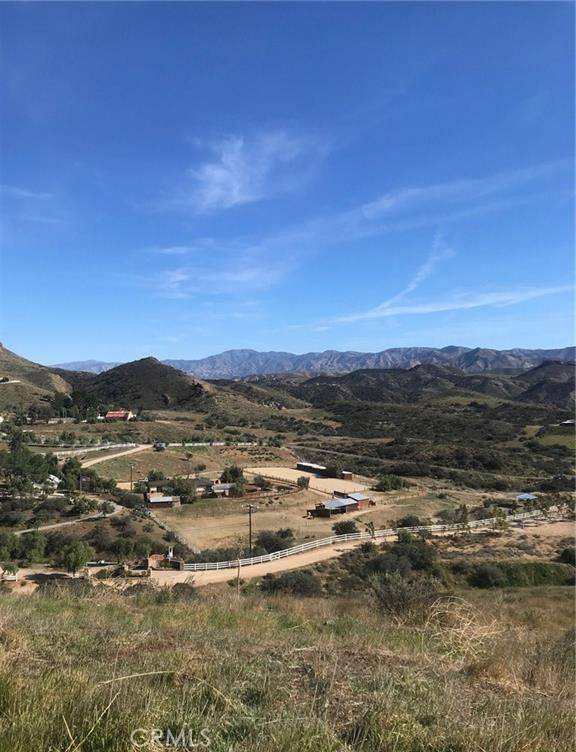 Agua Dulce, CA 91350,0 Vac/Vic Willow Ln/ Woolsox Road