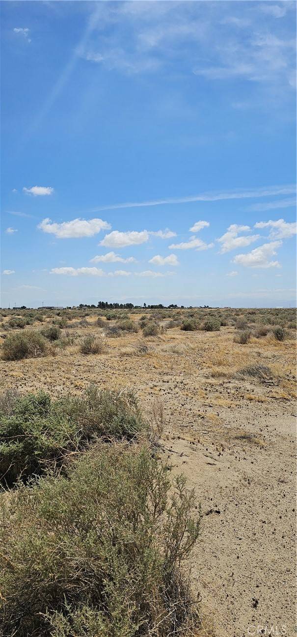 Rosamond, CA 93560,0 George Avenue