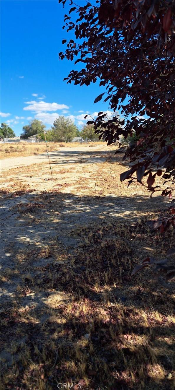 Lake Los Angeles, CA 93591,0 vacant land