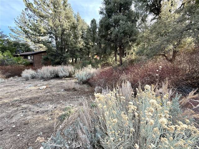 Pine Mtn Club, CA 93222,15500 Mil Potrero Hwy
