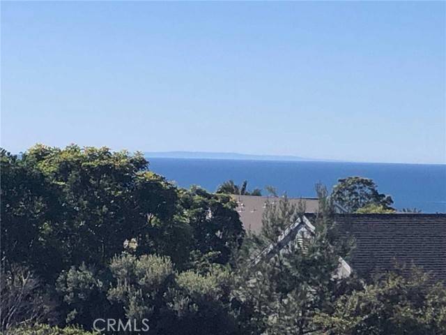 Dana Point, CA 92629,43 Palm Beach Court