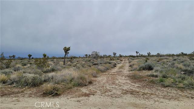 Llano, CA 93544,0 202nd St E & Ave X4