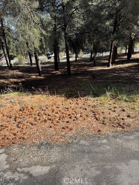 Frazier Park, CA 93225,1329 Jay Court