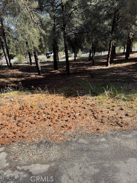 Pine Mtn Club, CA 93225,14700 Pinehurst Drive