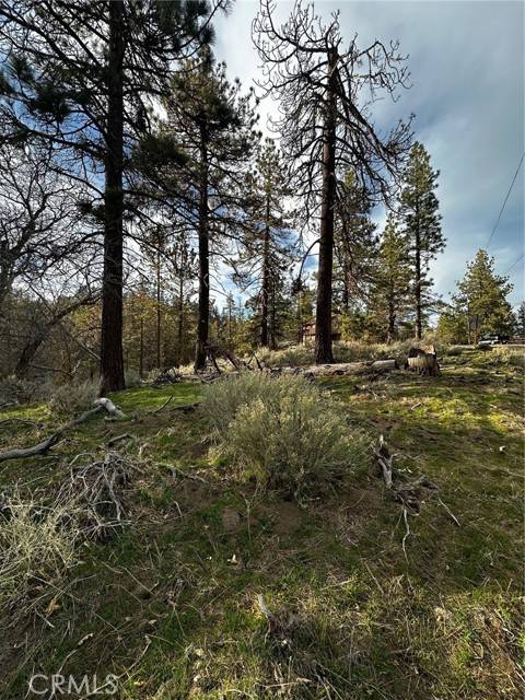 Tehachapi, CA 93561,25641 Paramount