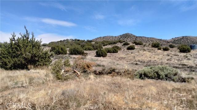 Acton, CA 93510,0 Wisconsin Street