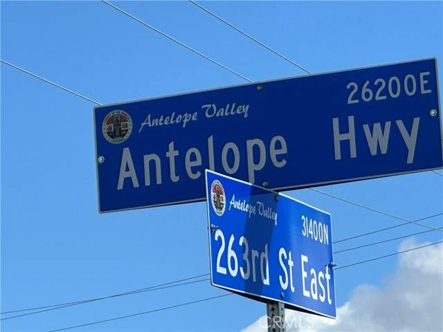 Llano, CA 93544,0 263rd Street