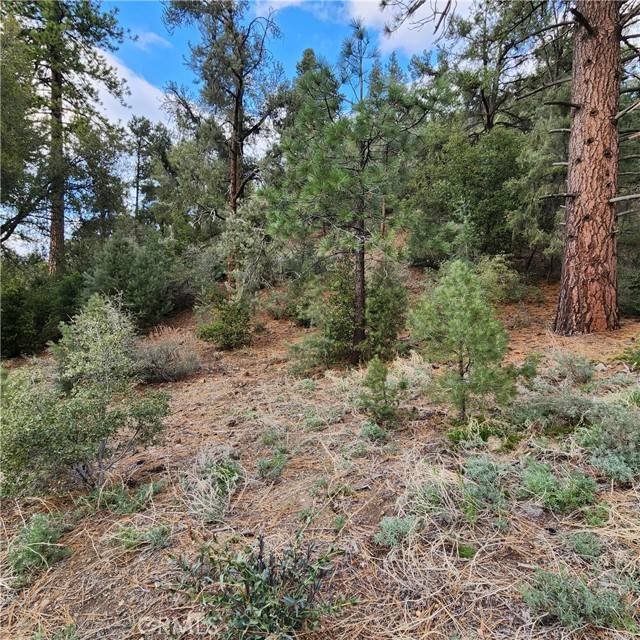 Pine Mtn Club, CA 93222,1808 Matterhorn Drive