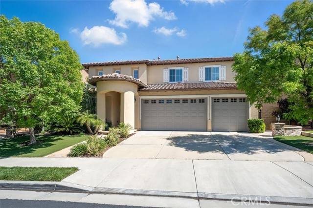 Newhall (santa Clarita), CA 91321,19728 Ellis Henry Court