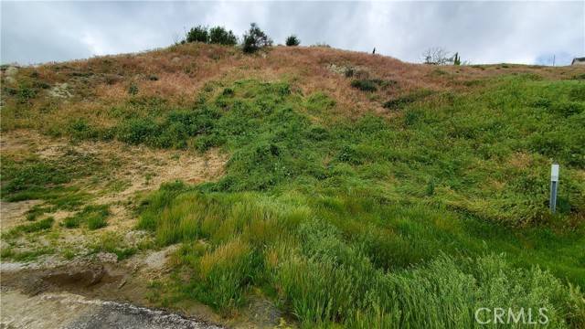 Elizabeth Lake, CA 93532,0 Cutwood Rd