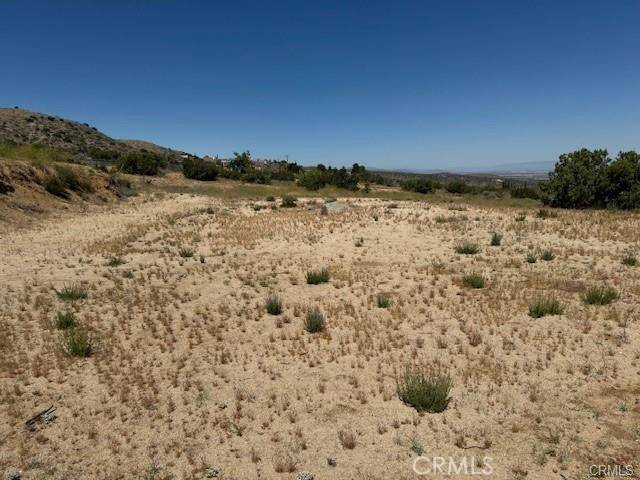 Llano, CA 93544,31221 Vac/Vic Avenue Y8/161 Ste