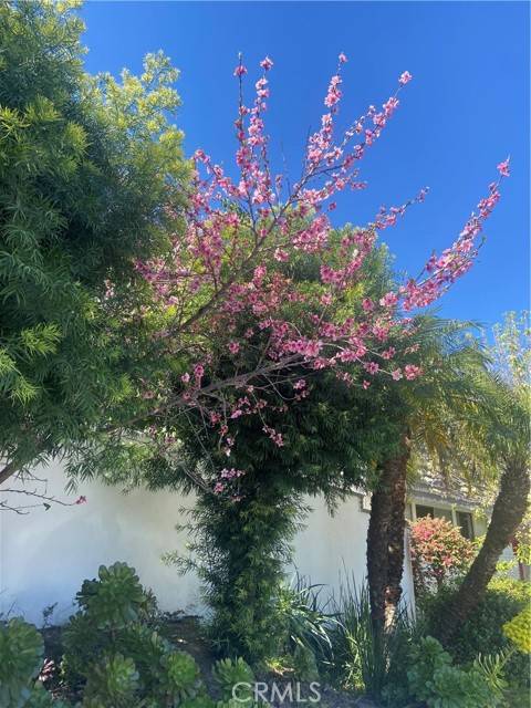 Encino (los Angeles), CA 91436,17041 Escalon Drive