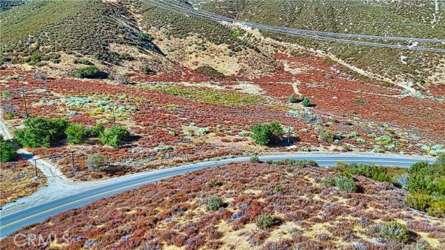 Palmdale, CA 93551,1 Bouquet Canyon Road
