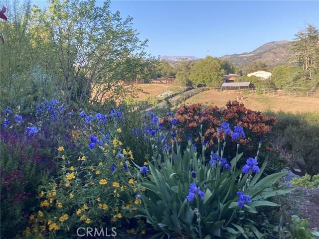 Oak View, CA 93022,240 Portal Street