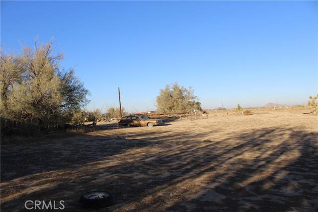 Mojave, CA 93501,9485 Elberta