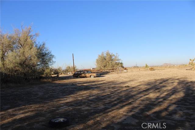 Mojave, CA 93501,9485 Elberta