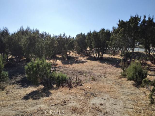 Agua Dulce, CA 91350,0 Agua Dulce Canyon