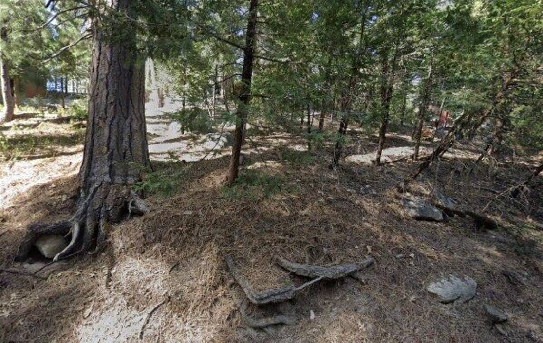 Twin Peaks, CA 92391,25547 Mid Ln