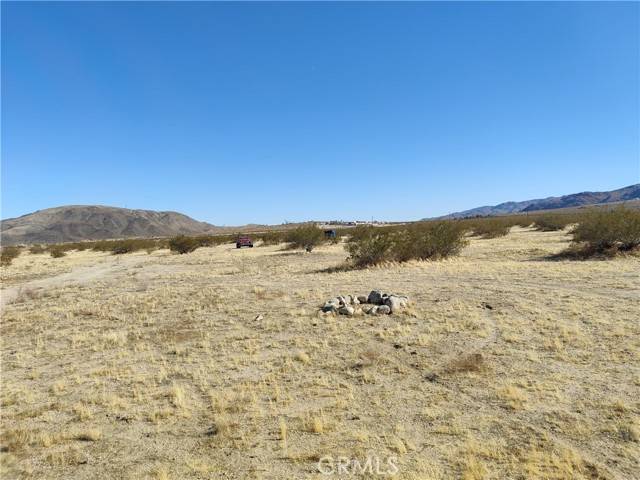 Joshua Tree, CA 92252,65515 Terrace Drive