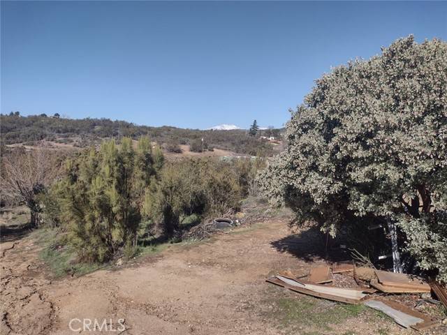 Anza, CA 92539,37400 Tripp Flat Road